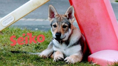 SEÏKO