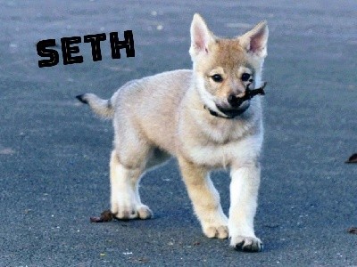 SETH